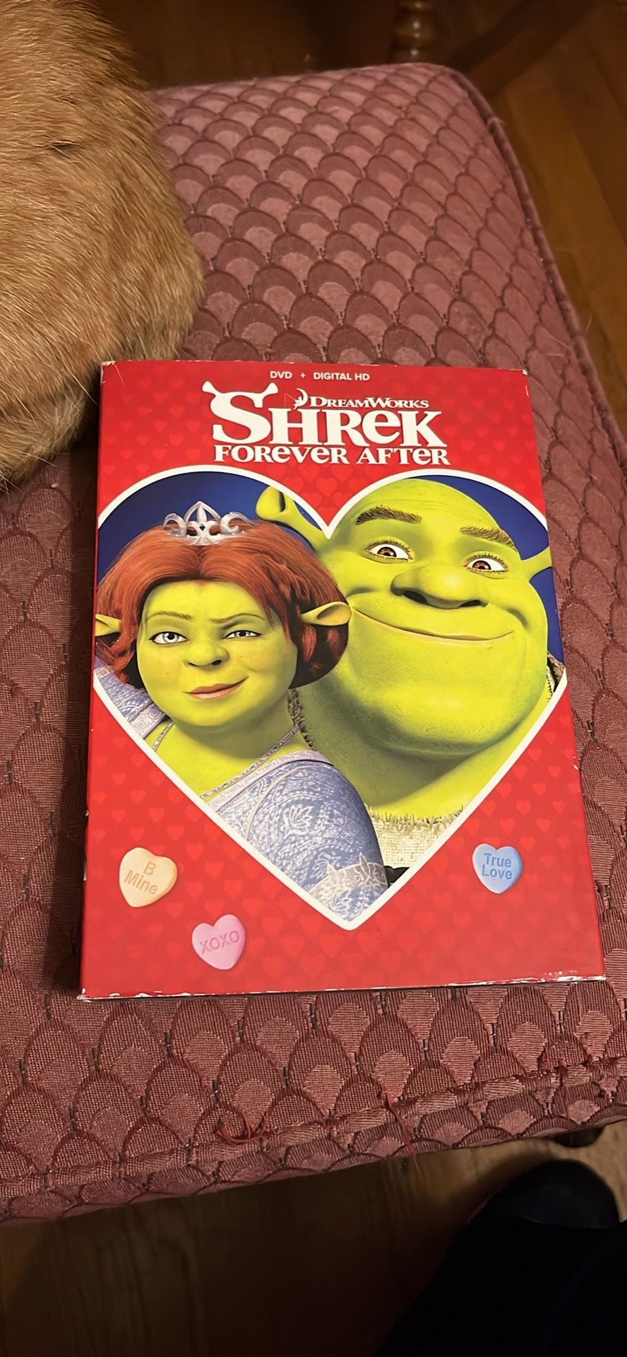 Shrek Forever After Movie DVD
