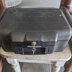 Sentry Safe 