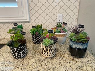 Faux Succulent Arrangements