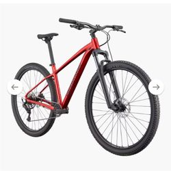 Cannondale Trail 2 Mountain Bike 29”