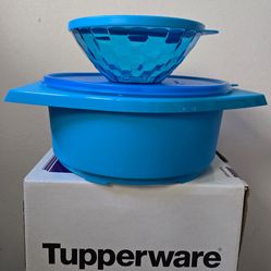 Tortillera y tanzoncito( tortilla holder)