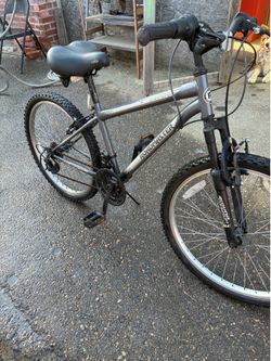 Nice  18 speed roadmaster
