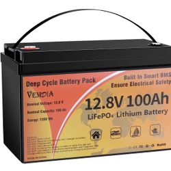 2 12V 100Ah LiFePO4 Lithium Battery Group 31 with Built-in Smart 100A BMS, 15000+ Deep Cycles 