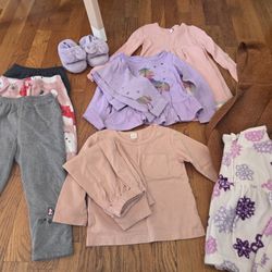Toddler Girl Clothes Bundle