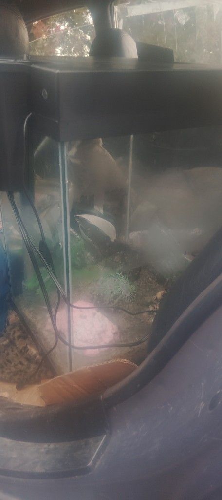 Complete Fish Tank Includes Everything Needed