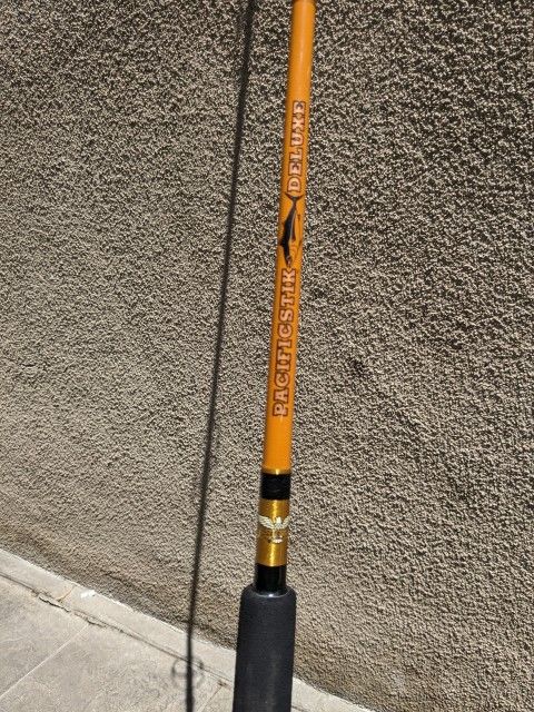 Fenwick Pacific Stik Deluxe Saltwater Spinning Rod for Sale in Menifee, CA  - OfferUp