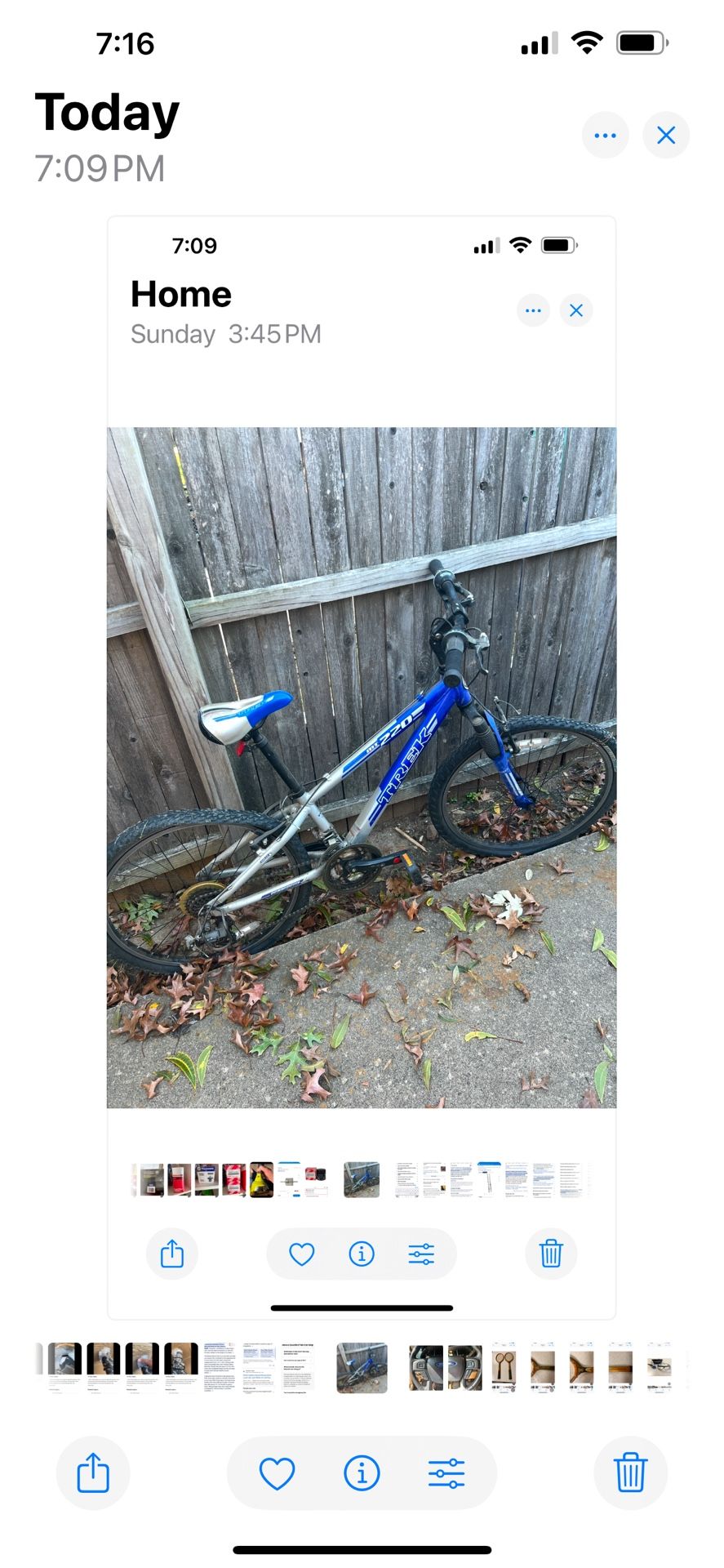 TREK and Schwinn Bicycles