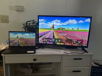 Polaroid Monitor/Tv