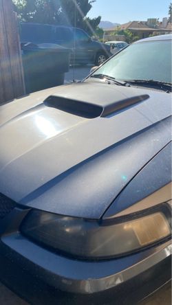 40th Anniversary Mustang (2004)