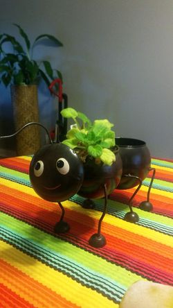 Ant plant holder with bobble head