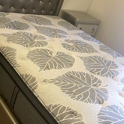 Queen Size Bed Only 