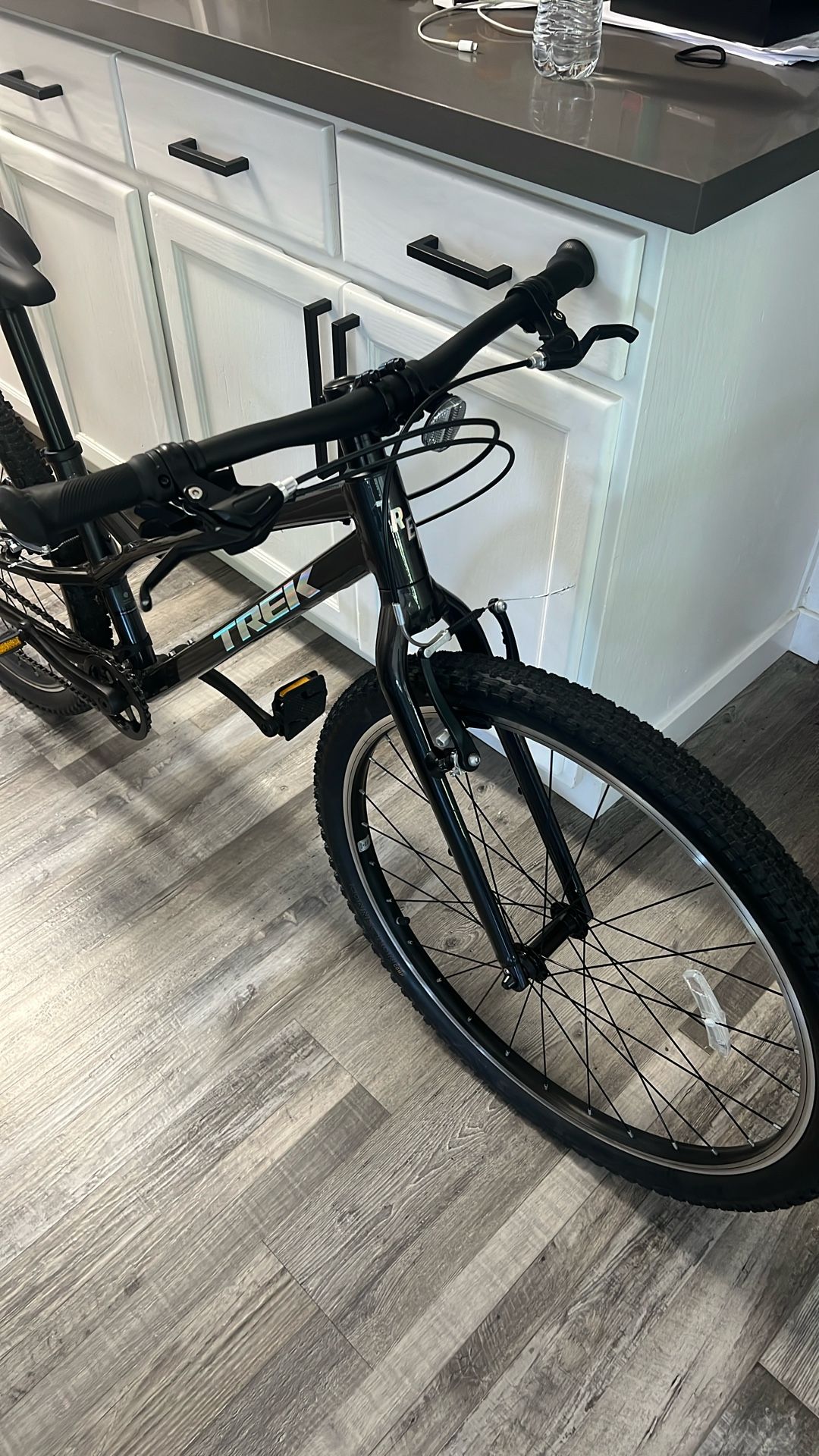 Trek Kids Bike