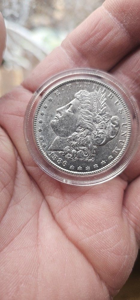 Morgan Dollars And Peace Dollars $50.00