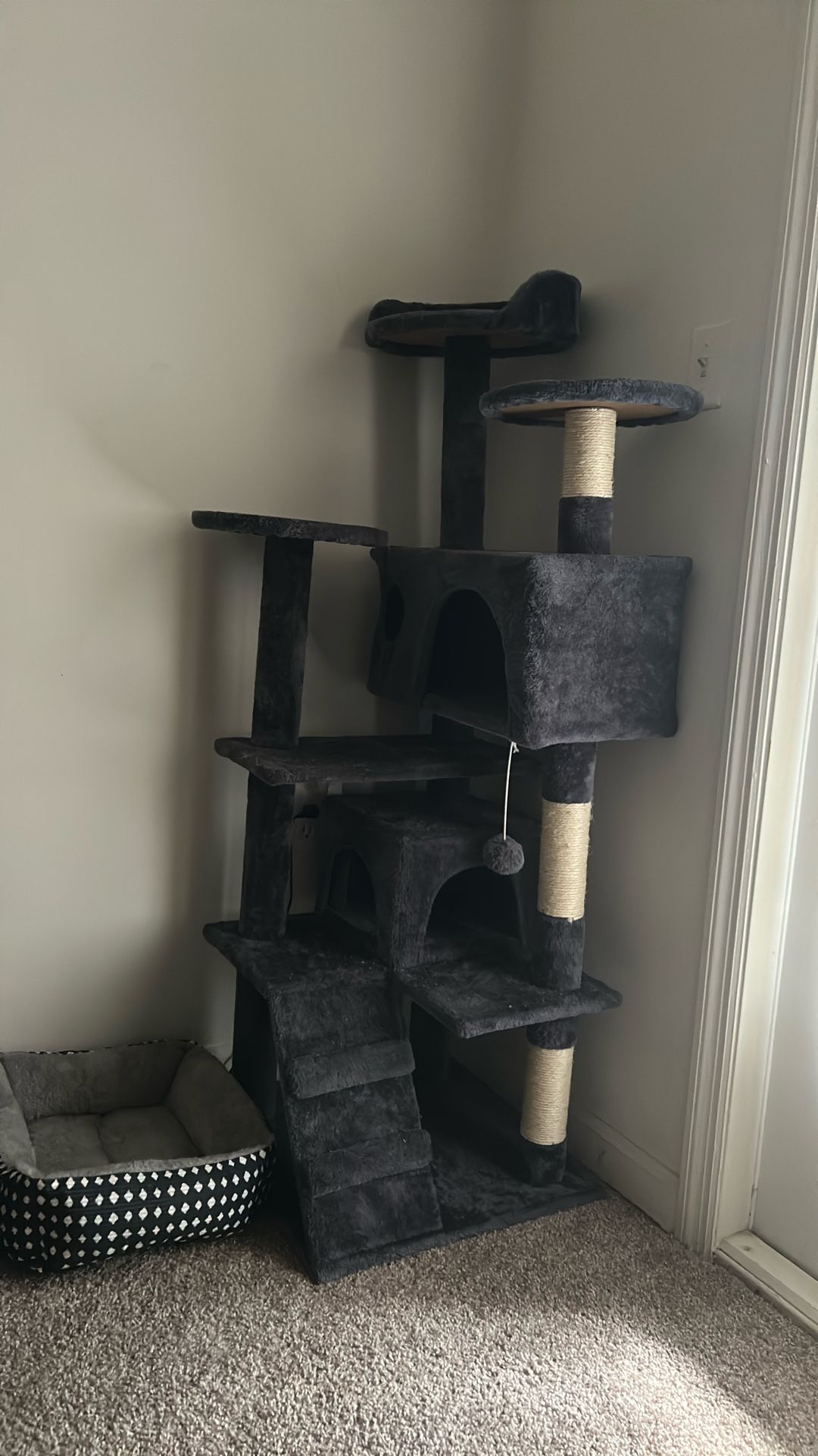 Cat gym. One Month Use . Like New