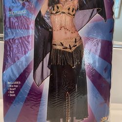 New “Harem Girl” Women’s Costume By Costumania, Includes Bra Top, Scarf, Belt & Skirt. Size 14/16