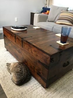 Coffee table / Trunk
