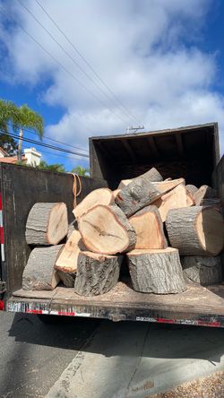 Oak fire wood logs