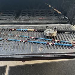 HEAVY DUTY FISHING POLE WITH REEL 