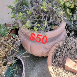 Pots