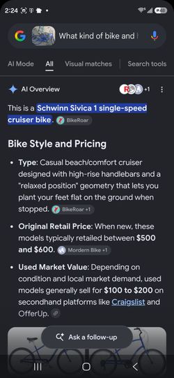 Beach cruisers schwinn 29 inch