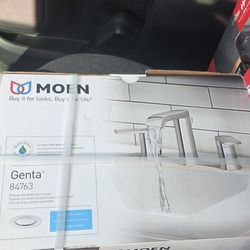 MOEN Bathroom Faucet 