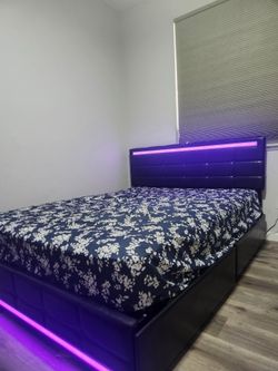 Bed