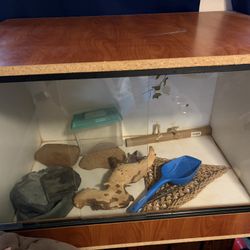 Reptile Enclosure