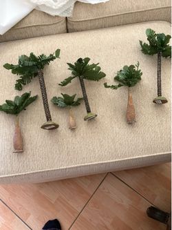 6 ASSORTED PALM TREES TO DECORATE AROUND YOUR NATIVITY