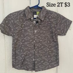 Camisa de Dinosaurio