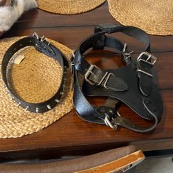 dog collar and harness