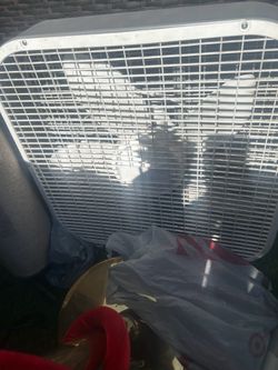 Two fans 20 obo