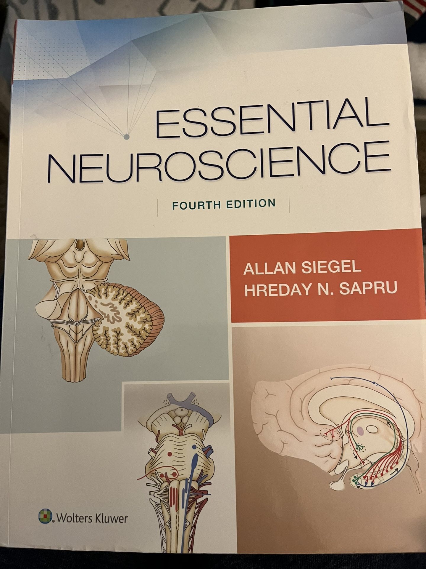 Essential Neuroscience Fourth Edition 