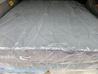 California King Purple Restore plus in Soft