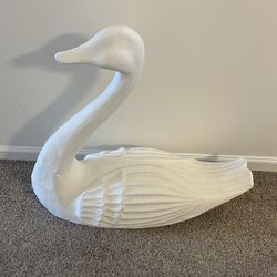 Swan