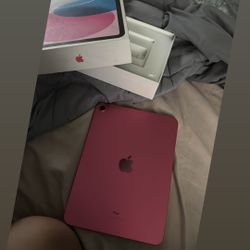 iPad 