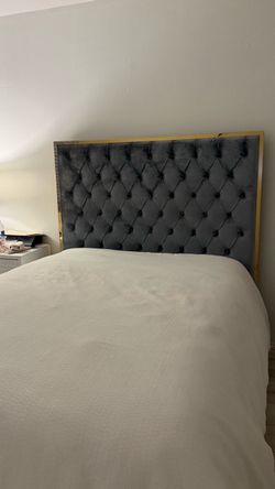 Grey and Gold Velvet Upholstered Platform Bed