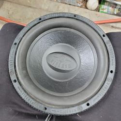 12 Inch Speaker