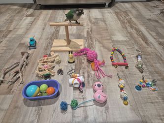 Parrot-Bird Toys