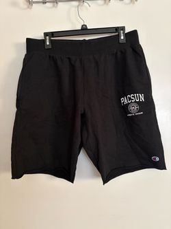 Champion Pacsun Shorts Size L
