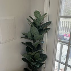 Decorative Trees Plastics $25 Each