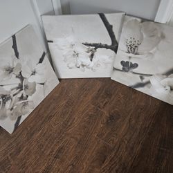 3 Piece Wall Art