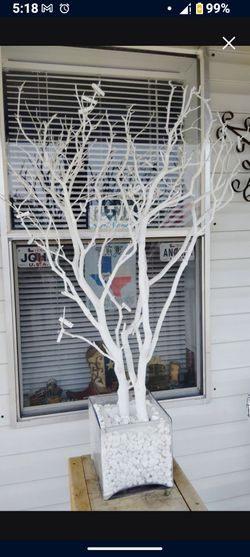Money Tree