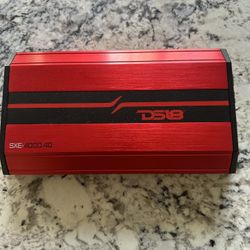 Ds-18 Amp One Month Old