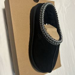 UGGs Tasman