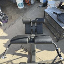 Roman Back Extension Machine 