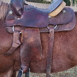 Horse Saddle Herford Size 15.5 