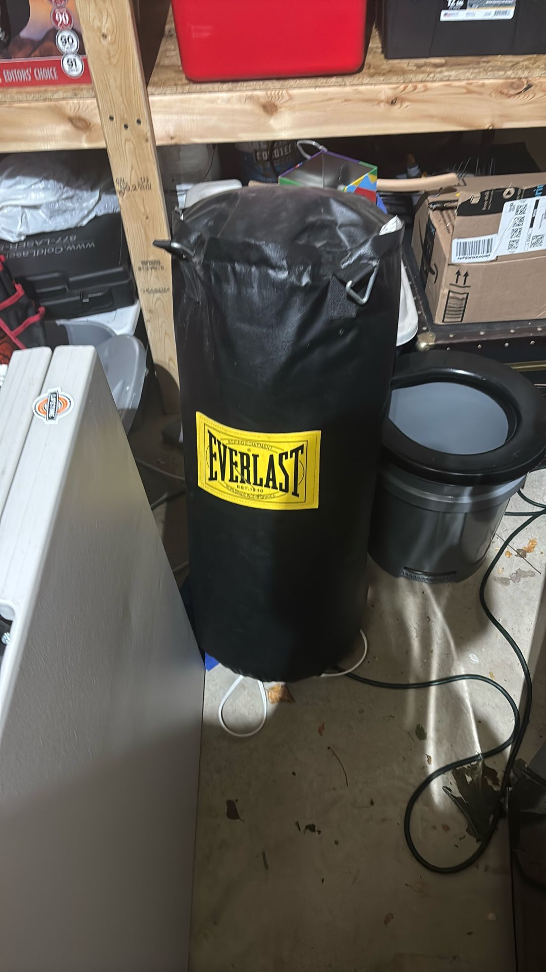 Everlast Punching bag