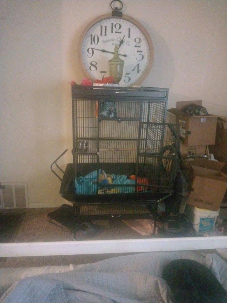 Big Bird Cage 