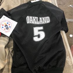 Sport Jerseys For Dogs Have The Oakland Raiders And  San Diego Chargers 