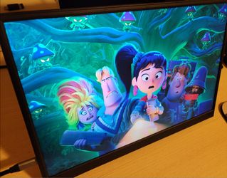 2.5k Portable Monitor (USB C/ MicoHdmi)